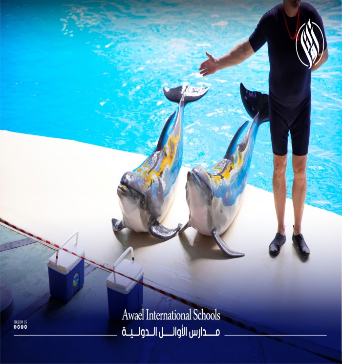 Today, we accompanied the students of Awael Summer Club on a wonderful visit to the dolphin show, and it was a memorable experience